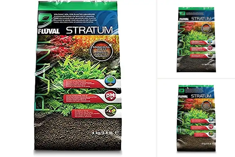 Detailed view of Best Aquarium Soils: Top 10 Picks for a Thriving Tank