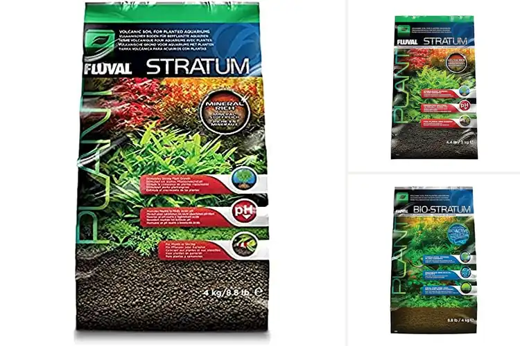 Detailed view of Best Aquarium Substrates For Healthy Plants