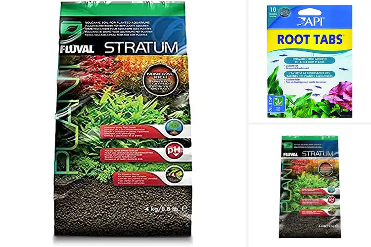 Detailed view of Best Aquarium Substrates For Root Growth