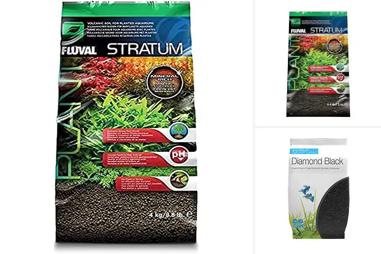 Detailed view of Best Aquarium Substrates for Healthy, Thriving Tanks