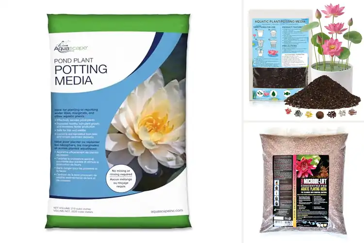 Detailed view of Best Aquatic Plant Growth Mediums for Thriving Water Gardens