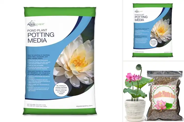 Detailed view of Best Aquatic Plant Growth Soils