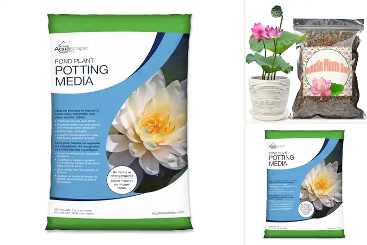 Detailed view of Best Aquatic Plant Soils for Healthy Pond Growth