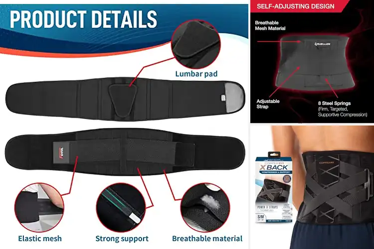 Detailed view of Best Back Supports for Everyday Comfort