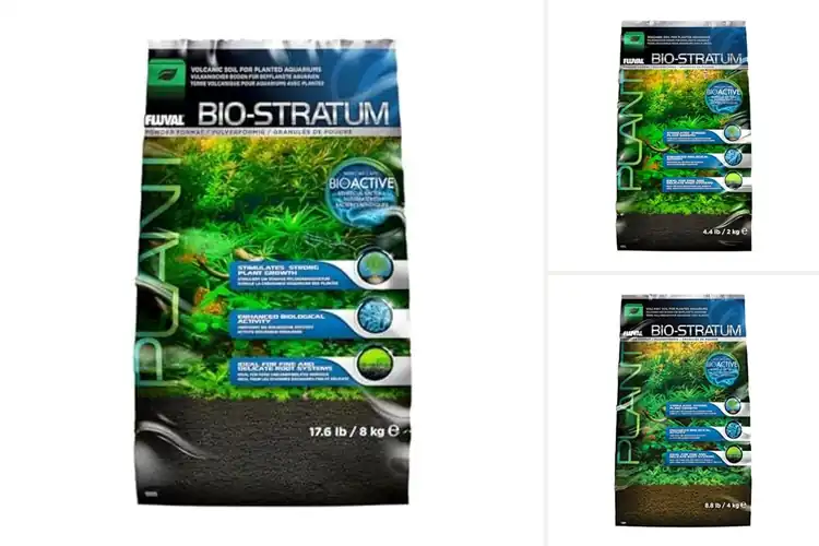 Detailed view of Best Bio Stratums: Top 9 Picks for Thriving Ecosystems