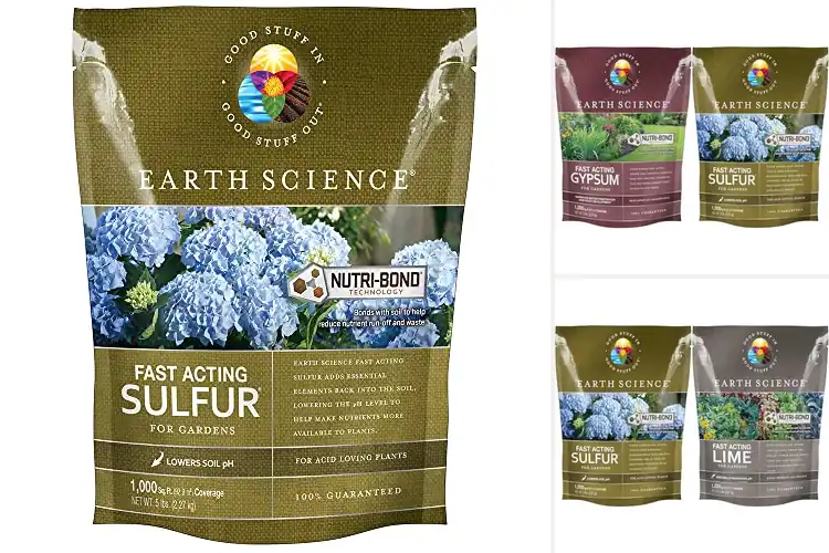 Detailed view of Best Color-Boosting Soils: 7 Top Picks for Vibrant Gardens