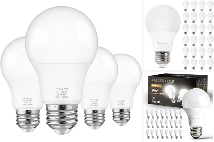 Detailed view of Best Energy Efficient Lights