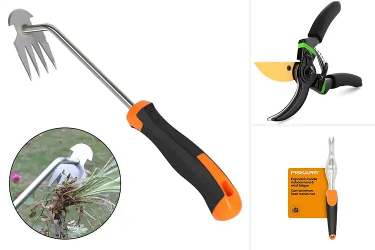 Detailed view of Best Ergonomic Yard Tools: 10 Pain-Free Gardening Essentials