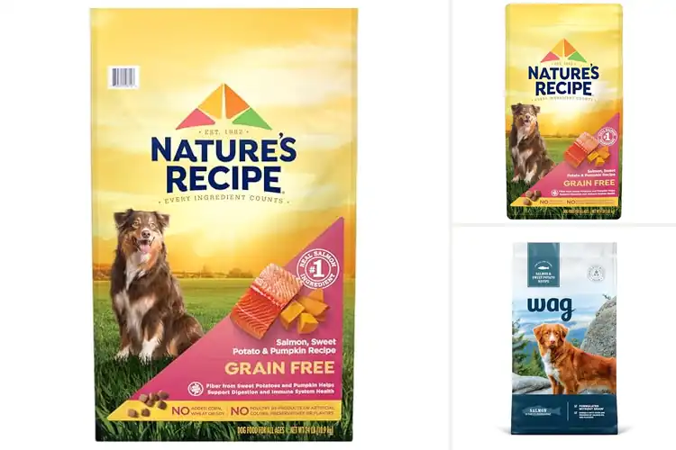 Detailed view of Best Grain Free Dog Food: Top 10 Picks for a Healthy Pup