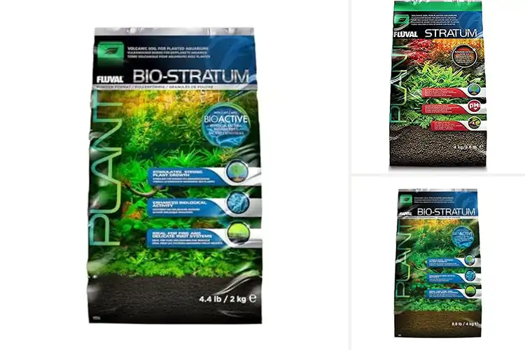Detailed view of Best Healthy Aquarium Substrates: Transform Your Tank Today