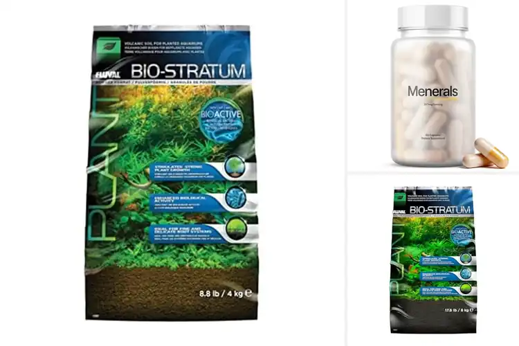 Detailed view of Best Mineral Rich Soils: Unlock Vibrant Garden Growth Now