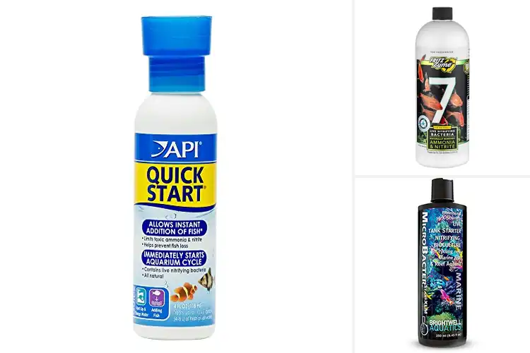Detailed view of Best Nitrifying Bacteria Activators