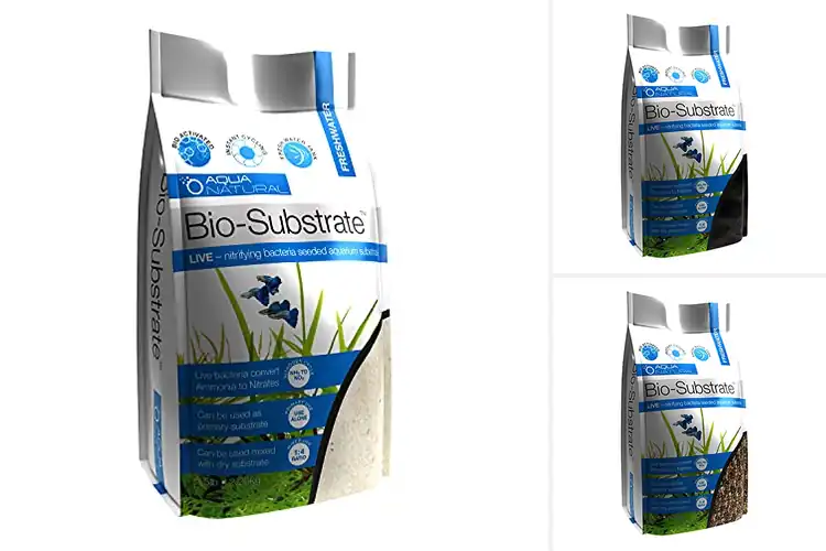 Detailed view of Best Nitrifying Substrates: Your Guide to a Healthy Aquarium