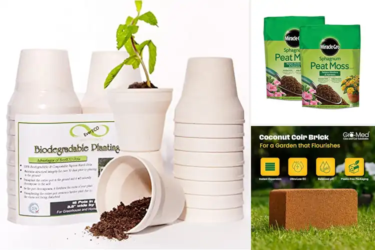 Detailed view of Best Nutrient-Enriched Soils