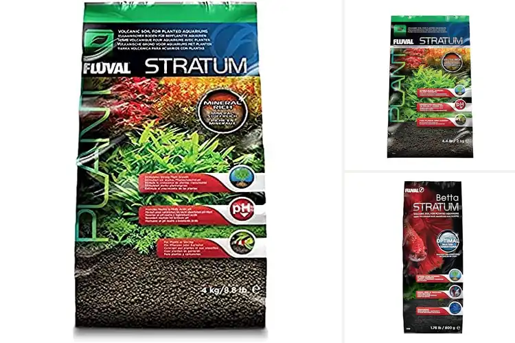 Detailed view of Best Plant Growth Substrates for Strong, Healthy Plants