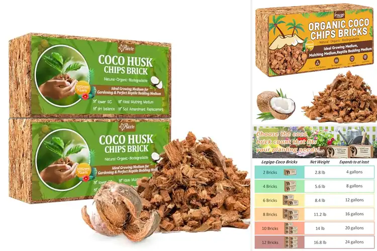 Detailed view of Best Planting Substrates: Grow Strong Roots with Ease
