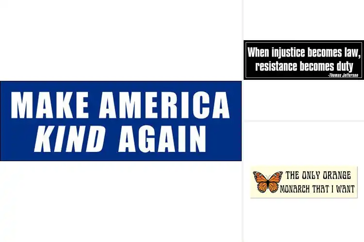 Detailed view of Best Political Magnet Signs