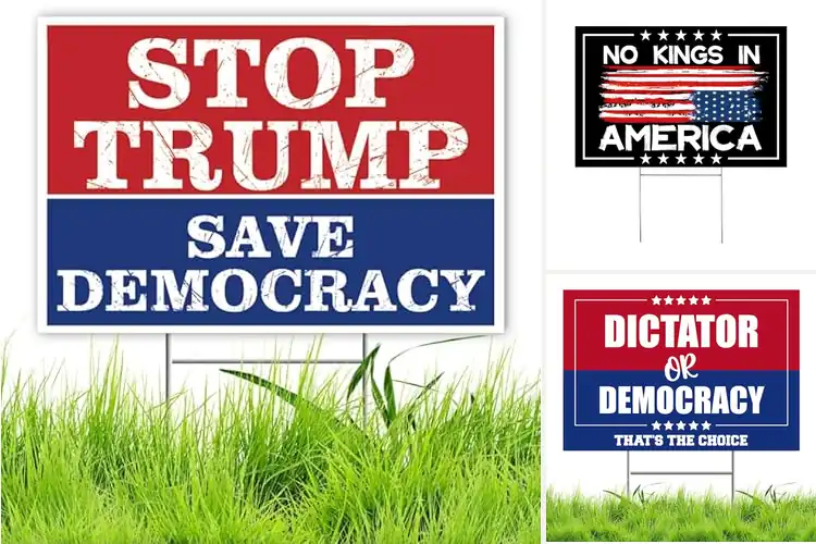 Detailed view of Best Political Signs