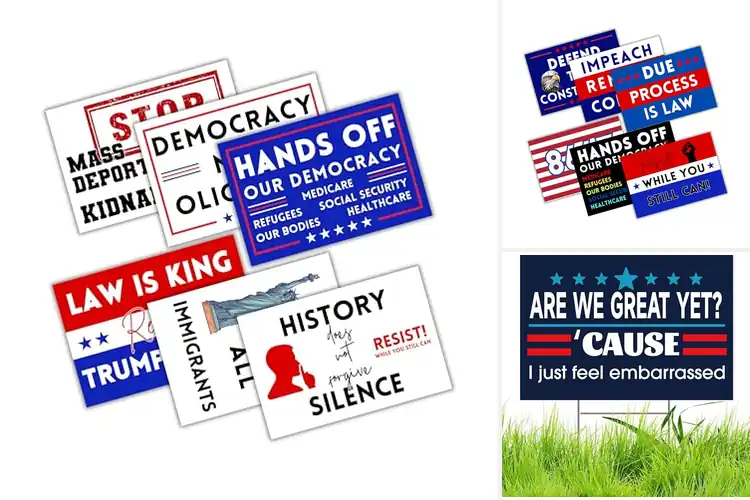 Detailed view of Best Protest Signs