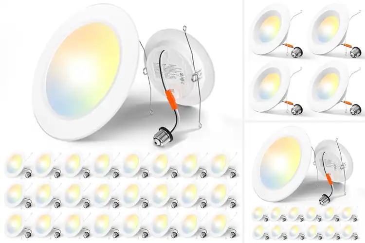 Detailed view of Best Residential Recessed Lighting