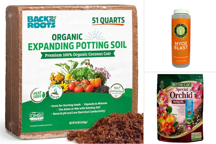 Detailed view of Best Root-Enhancing Soils for Strong, Healthy Growth