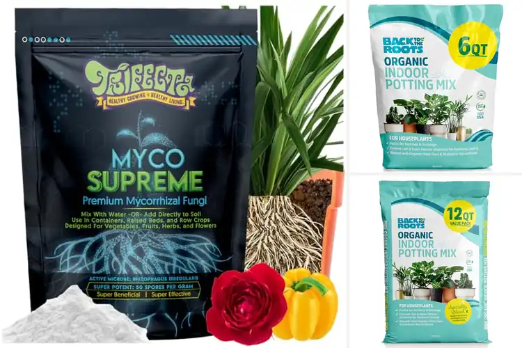 Detailed view of Best Root Growth Soils: Top 10 Picks for Thriving Plants