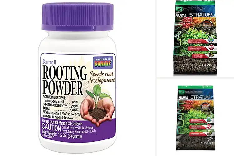 Detailed view of Best Root Growth Substrates for Strong, Healthy Plants