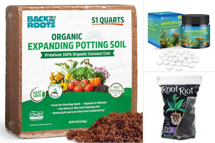 Detailed view of Best Root Substrates: Boost Plant Growth with Top Options