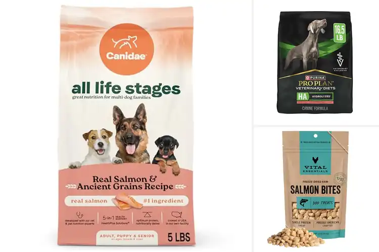 Detailed view of Best Salmon Protein Source: Top Picks for Pets & People