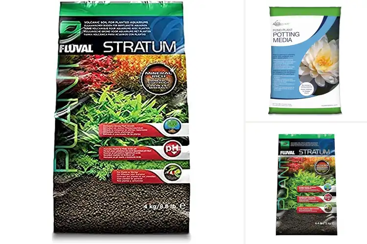 Detailed view of Best Substrates for Aquatic Plants