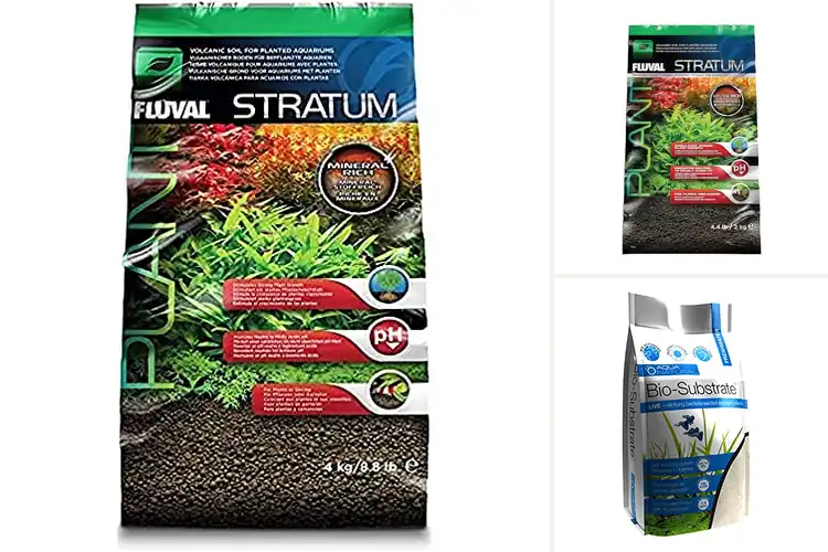Detailed view of Best Tank Substrates for a Thriving Aquarium