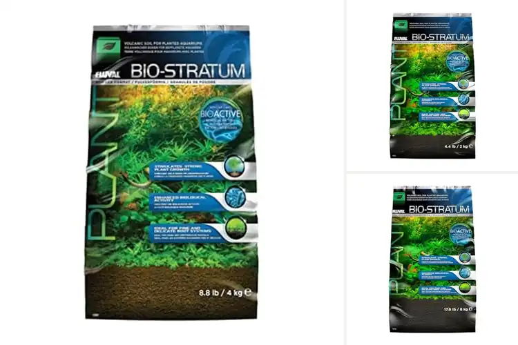 Detailed view of Best Volcanic Aquarium Soils for Lush Plant Growth
