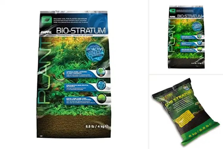 Detailed view of Best Volcanic Soil Substrates for Thriving Growth
