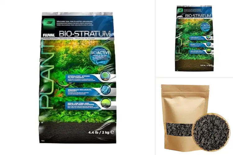 Detailed view of Best Volcanic Soils: Unlock Thriving Plants with Top Picks