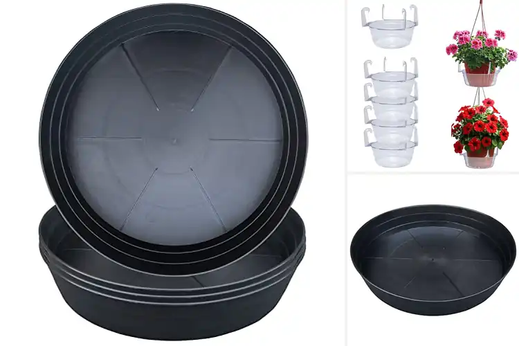 Detailed view of Best Water Catcher Bases