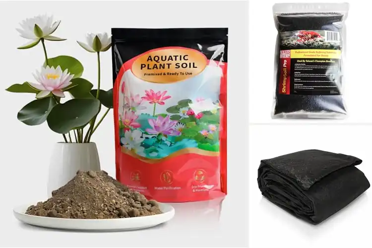 Detailed view of Best Water Stabilizing Soils for Clear, Steady Ponds