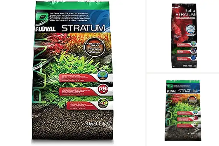 Detailed view of Best Water-Stabilizing Substrates